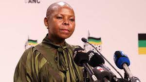 ANC rejects DA’s claims that Employment Equity Amendment Act excludes certain races