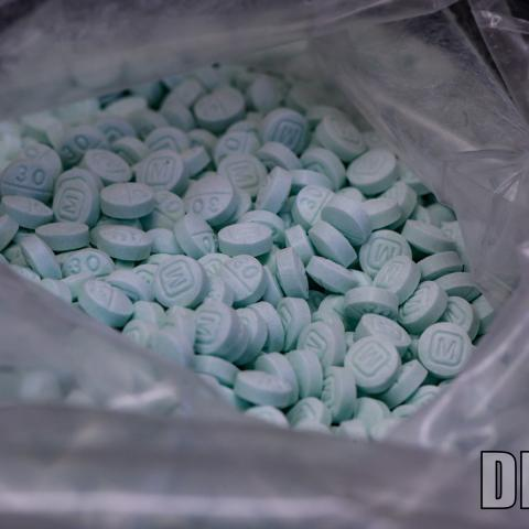 Police dog sniffs out $2M worth fentanyl